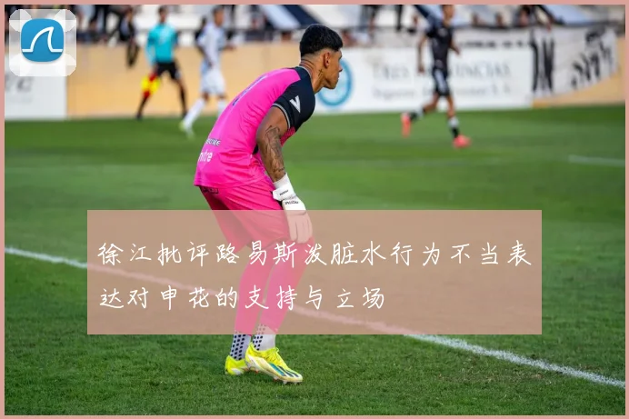 徐江批评路易斯泼脏水行为不当表达对申花的支持与立场
