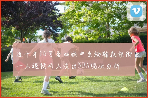近十年16号秀回顾申京杨瀚森领衔一人退役两人淡出NBA现状分析