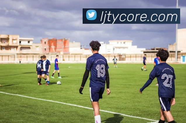 乐竞体育平台生态图